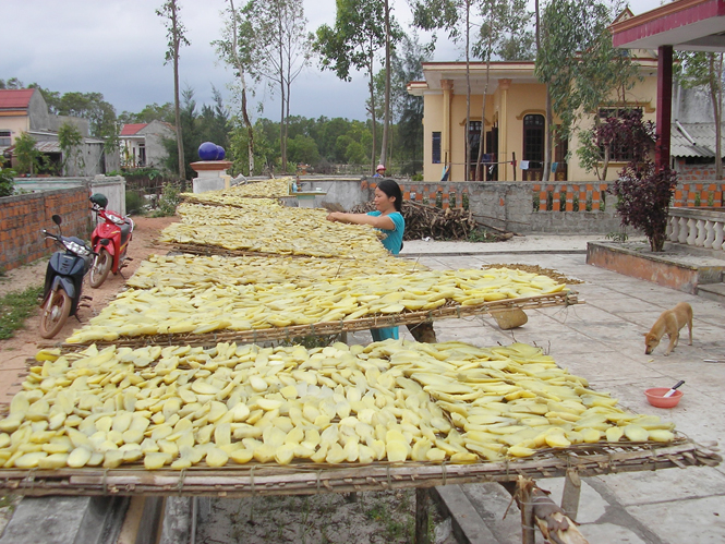 Làng nghề khoai gieo Quảng Bình