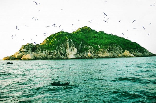 Đảo Chim