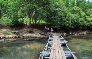 Cây cầu được bắc qua suối đơn sơ